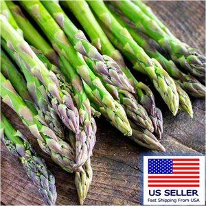 100 ASPARAGUS Seeds-Non GMO-Organic.